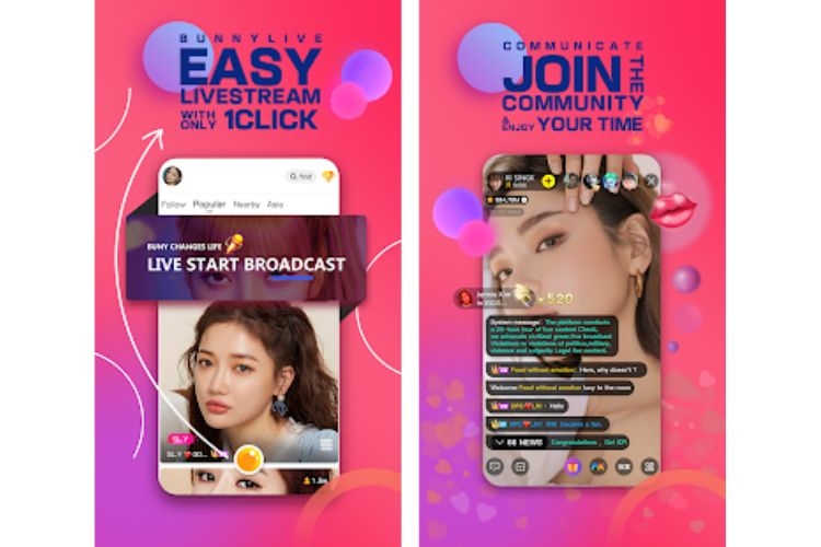 Tính năng nổi bật trên Bunny Live