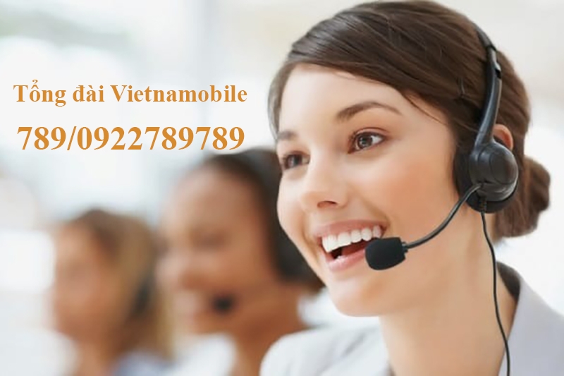 Tổng đài Vietnamobile (Ảnh 2)