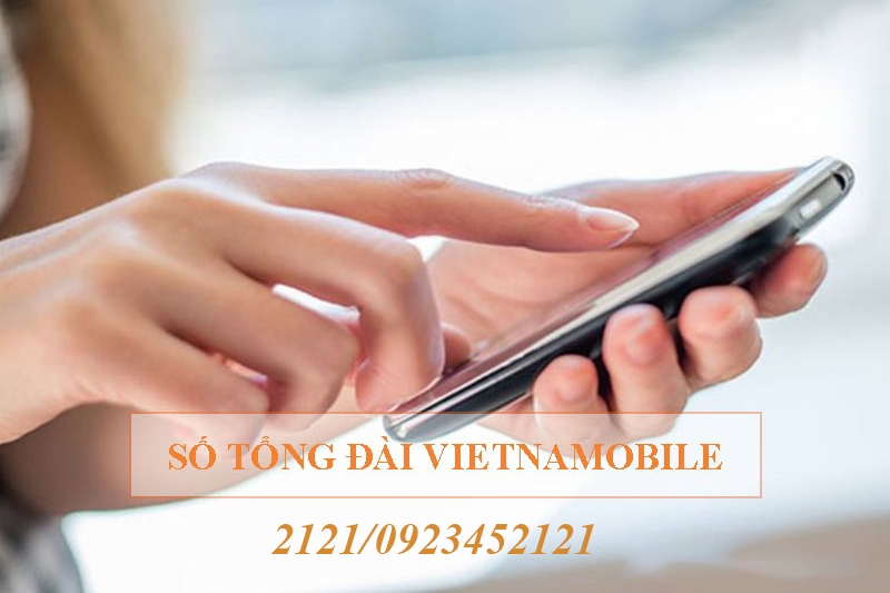Tổng đài Vietnamobile (Ảnh 3)