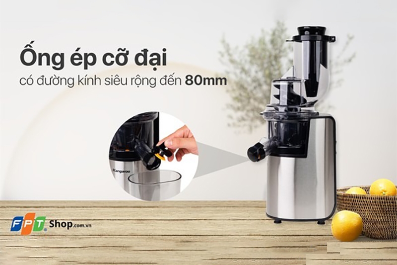 Máy ép chậm cho quán cafe tốt nhất (Ảnh 5)