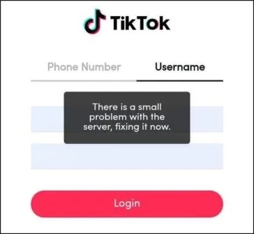 Cách khắc phục lỗi đăng nhập trên TikTok 3