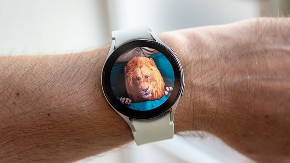 Thông tin Galaxy Watch6 series (ảnh 4)