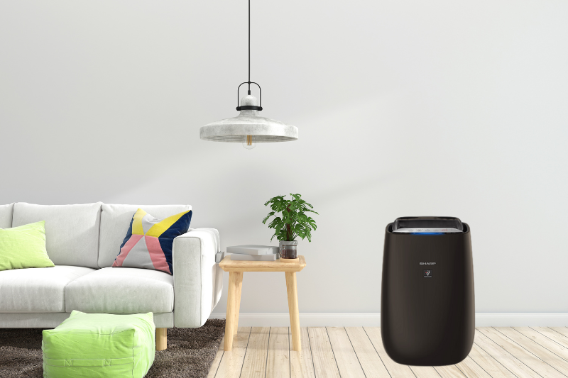 So sánh máy lọc không khí Sharp và Panasonic (Ảnh 2)