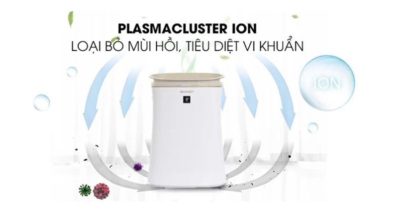 So sánh máy lọc không khí Sharp và Philips (Ảnh 5)