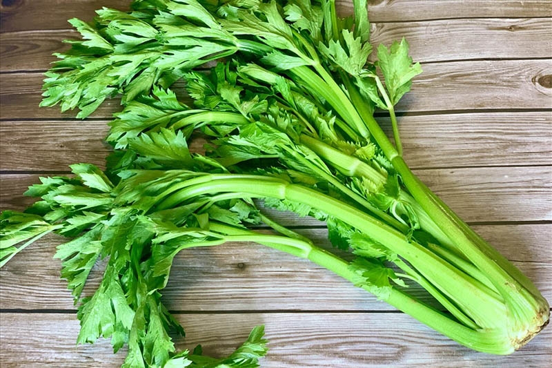 Cách làm nước ép cần tây bằng máy xay sinh tố (Ảnh 3)