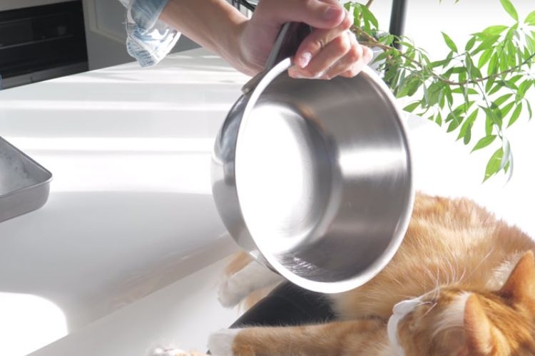 nồi inox bị đen (ảnh 2)