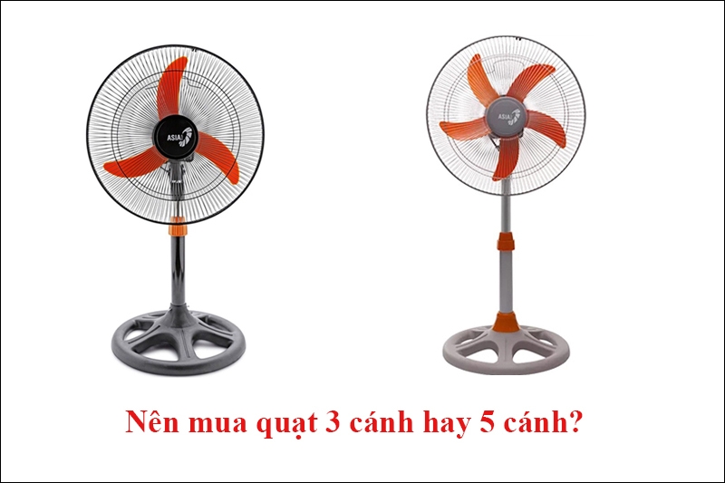 Nên mua quạt cây 3 cánh hay 5 cánh (Ảnh 4)
