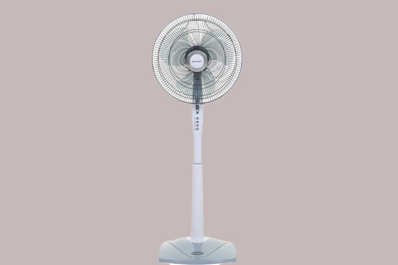 Nên mua quạt cây 3 cánh hay 5 cánh (Ảnh 2)