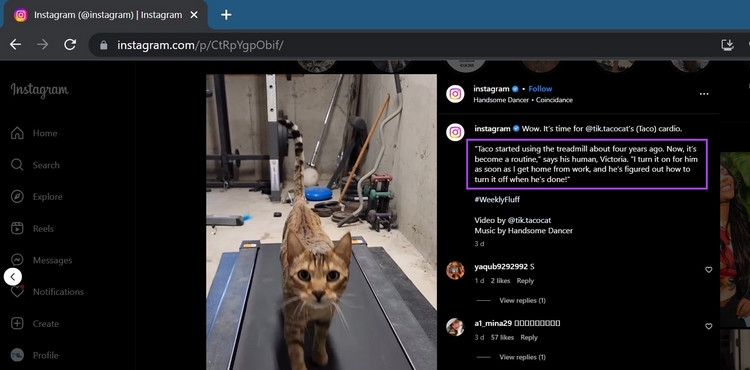 Bí quyết sao chép văn bản từ bài đăng trên Instagram (1)