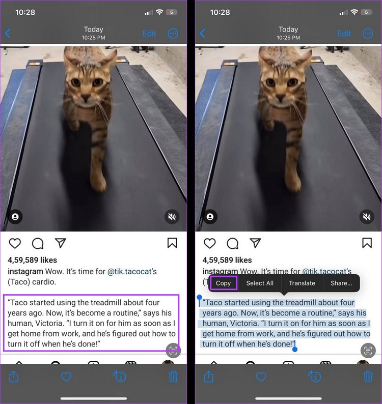 Bí quyết sao chép văn bản từ bài đăng trên Instagram (12)