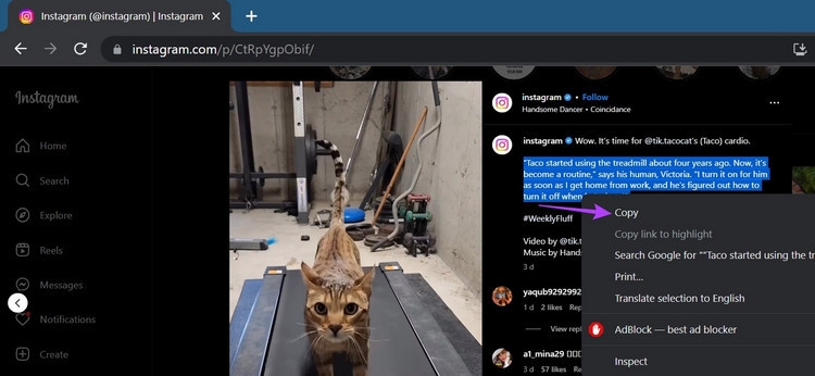 Bí quyết sao chép văn bản từ bài đăng trên Instagram (2)