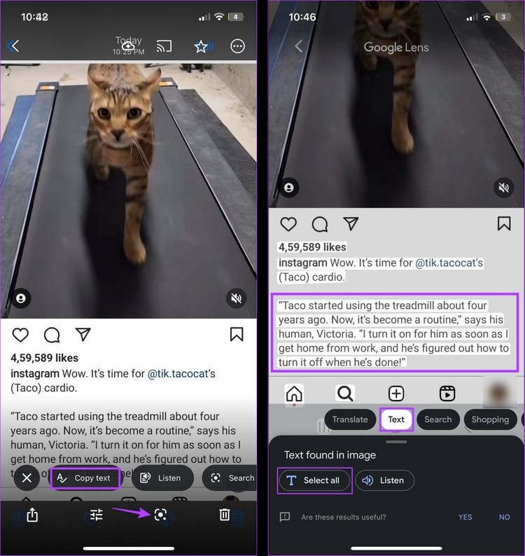 Bí quyết sao chép văn bản từ bài đăng trên Instagram (9)