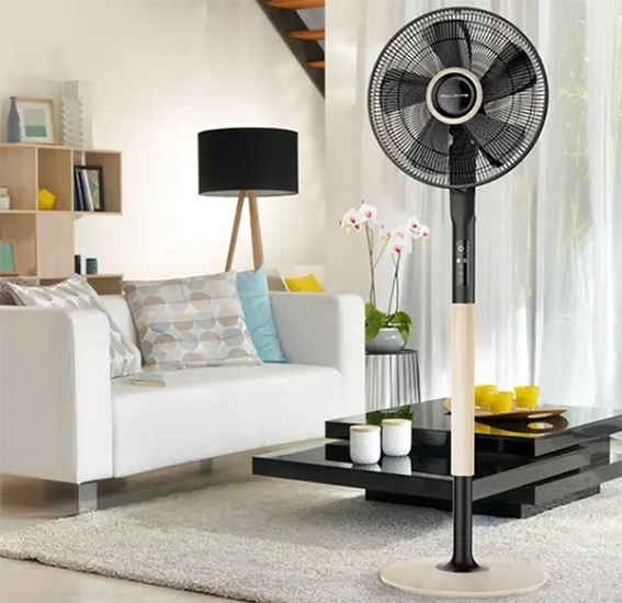 Quạt tháp hay quạt cây hình 3