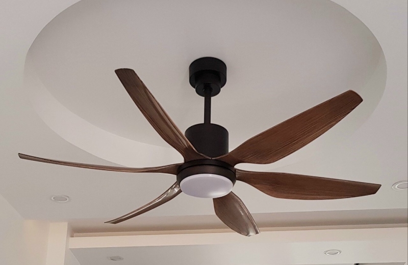 Bật quạt cây hay quạt trần tốn điện hơn? Bật quạt cây hay quạt trần tốn điện hơn?