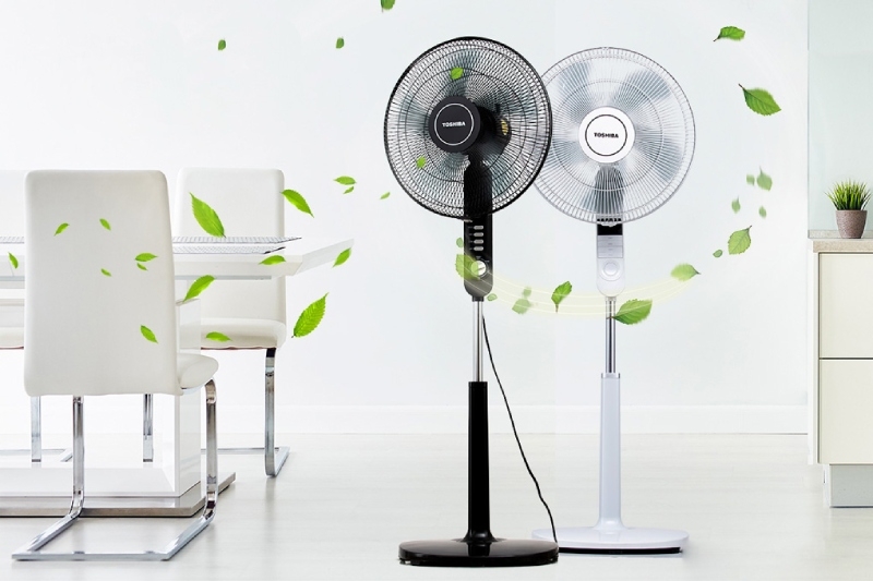 So sánh quạt trần và quạt cây hình 2