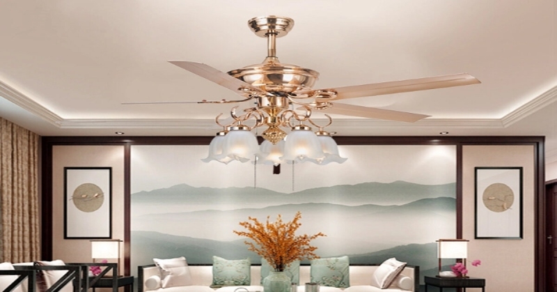 So sánh quạt trần và quạt cây hình 5