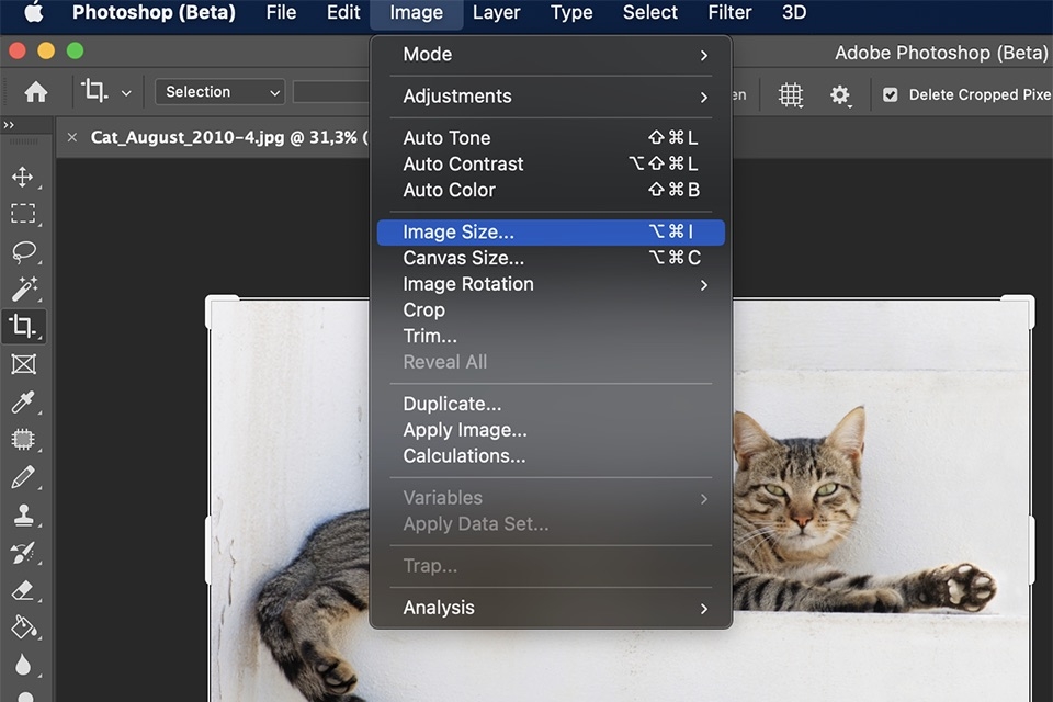 resize image photoshop - hình 2