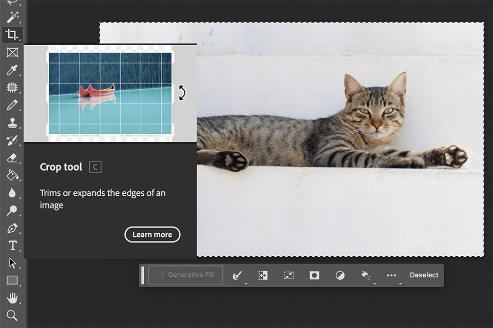 resize image photoshop - hình 4