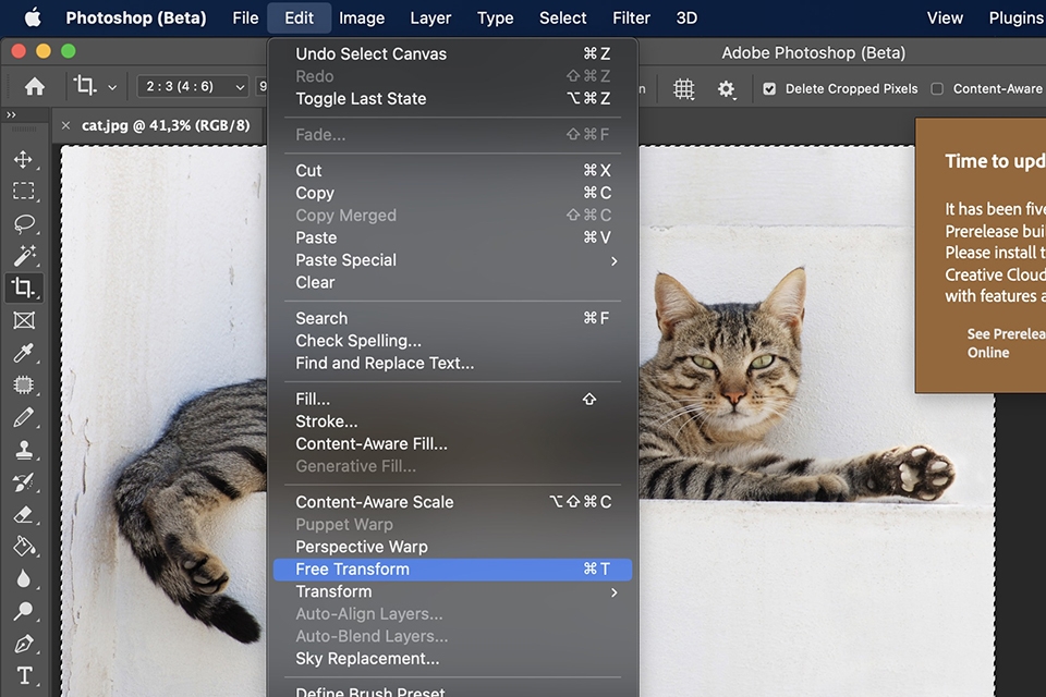 resize image photoshop - hình 3