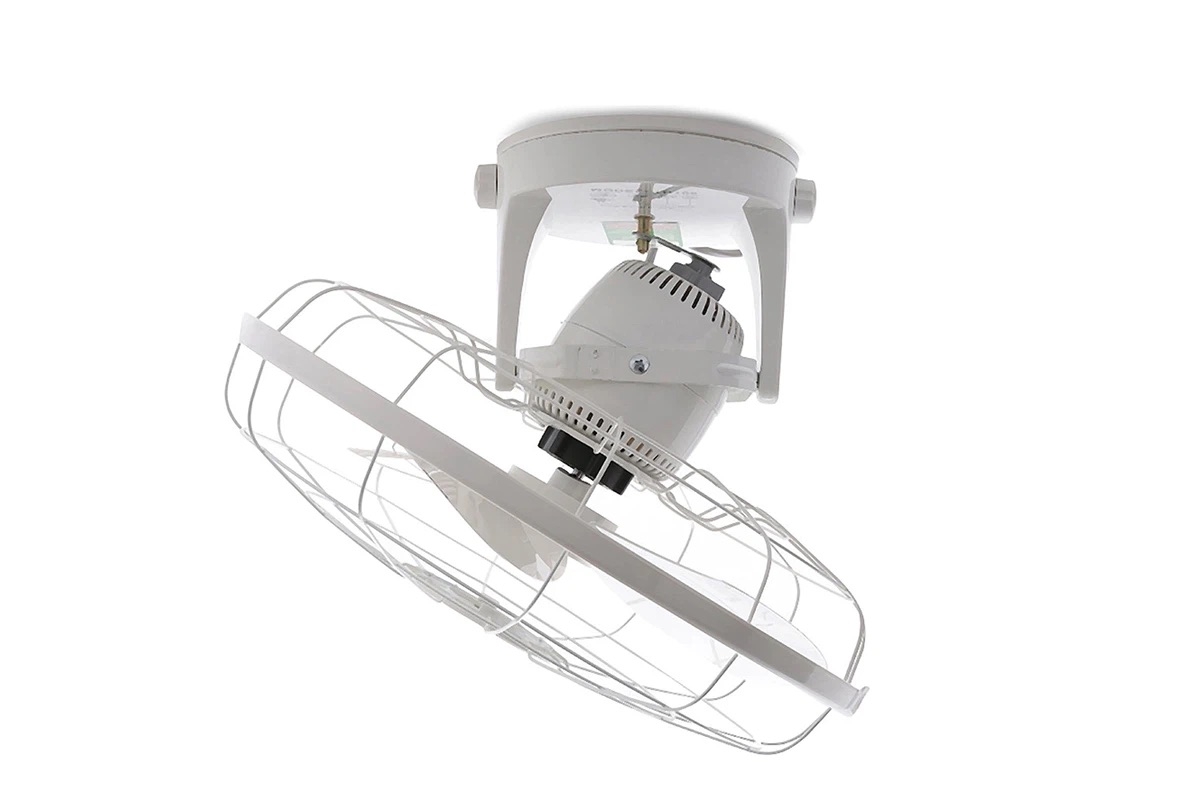 nên mua quạt đảo trần hay quạt treo tường - hình 2