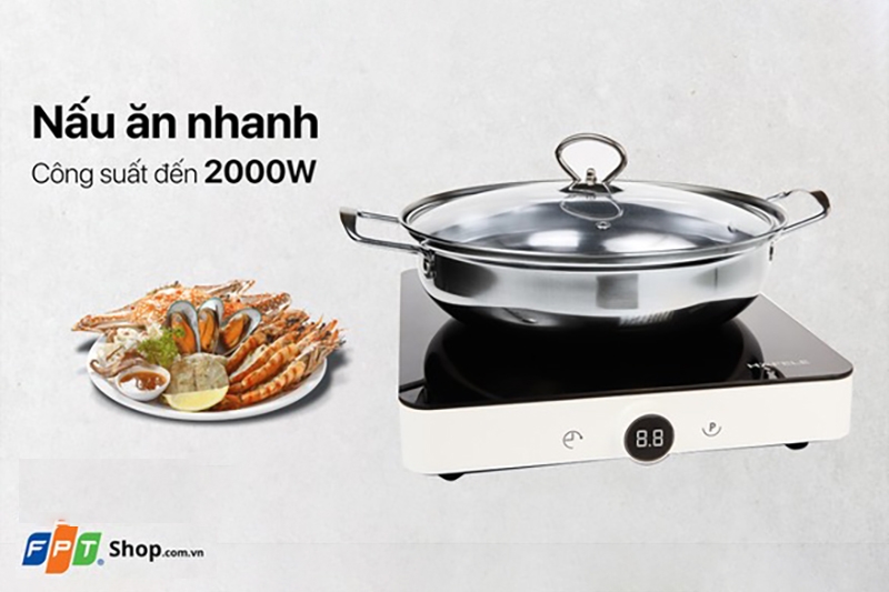 Bếp từ đơn cao cấp (Hình 4)