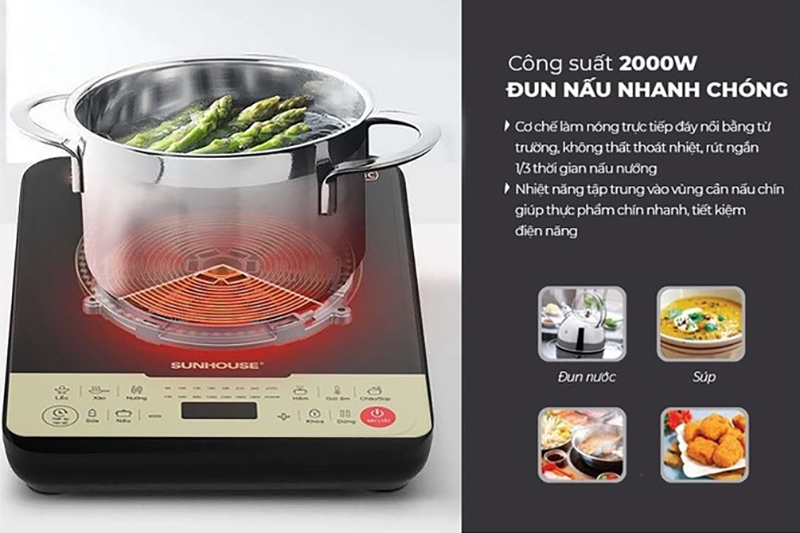 Bếp từ đơn cao cấp (Hình 5)