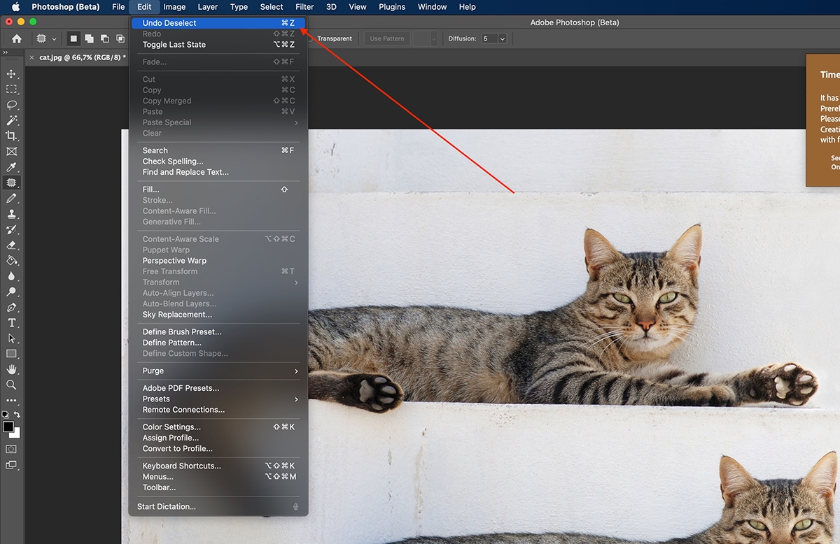 undo trong Photoshop - hình 3