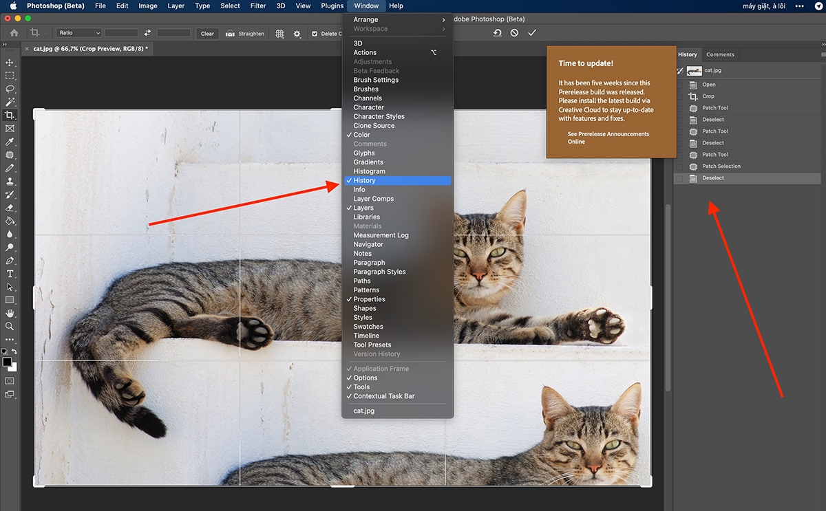 undo trong Photoshop - hình 4