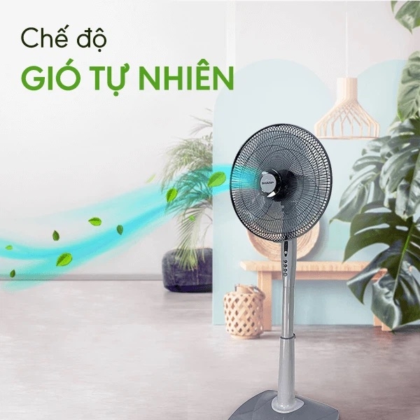 so sánh quạt 3 cánh và 5 cánh - hình 2