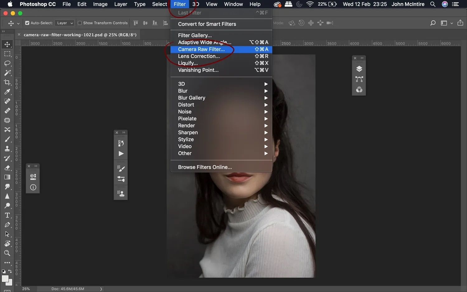 phóng to ảnh trong photoshop - hình 4