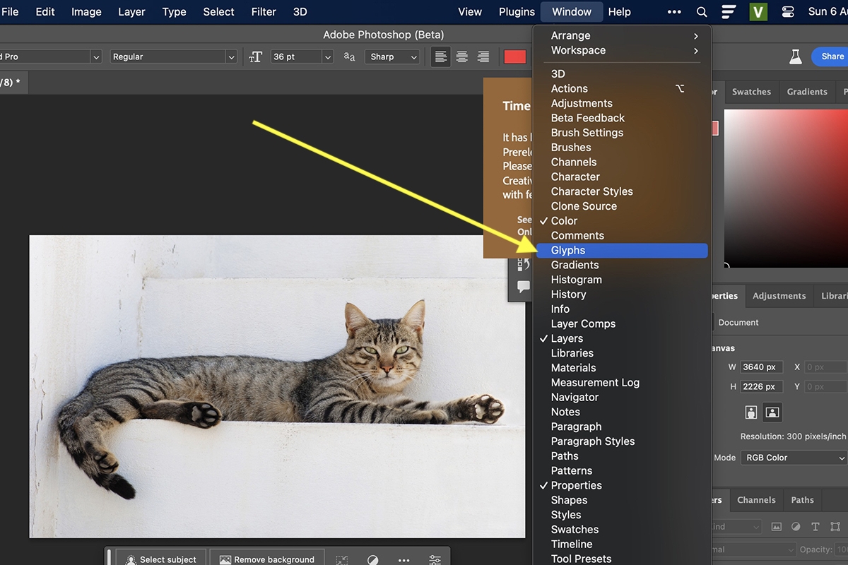 ký tự đặc biệt trong Photoshop - hình 3