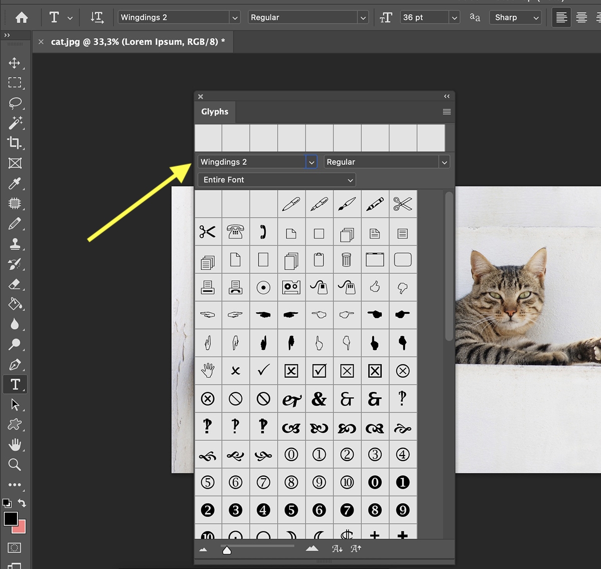 ký tự đặc biệt trong Photoshop - hình 4