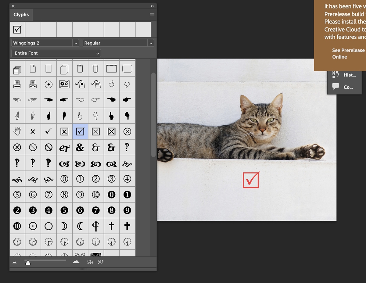 ký tự đặc biệt trong Photoshop - hình 5