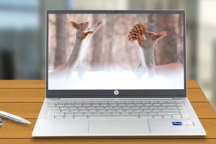 Laptop cho sinh viên sư phạm (Ảnh 1)