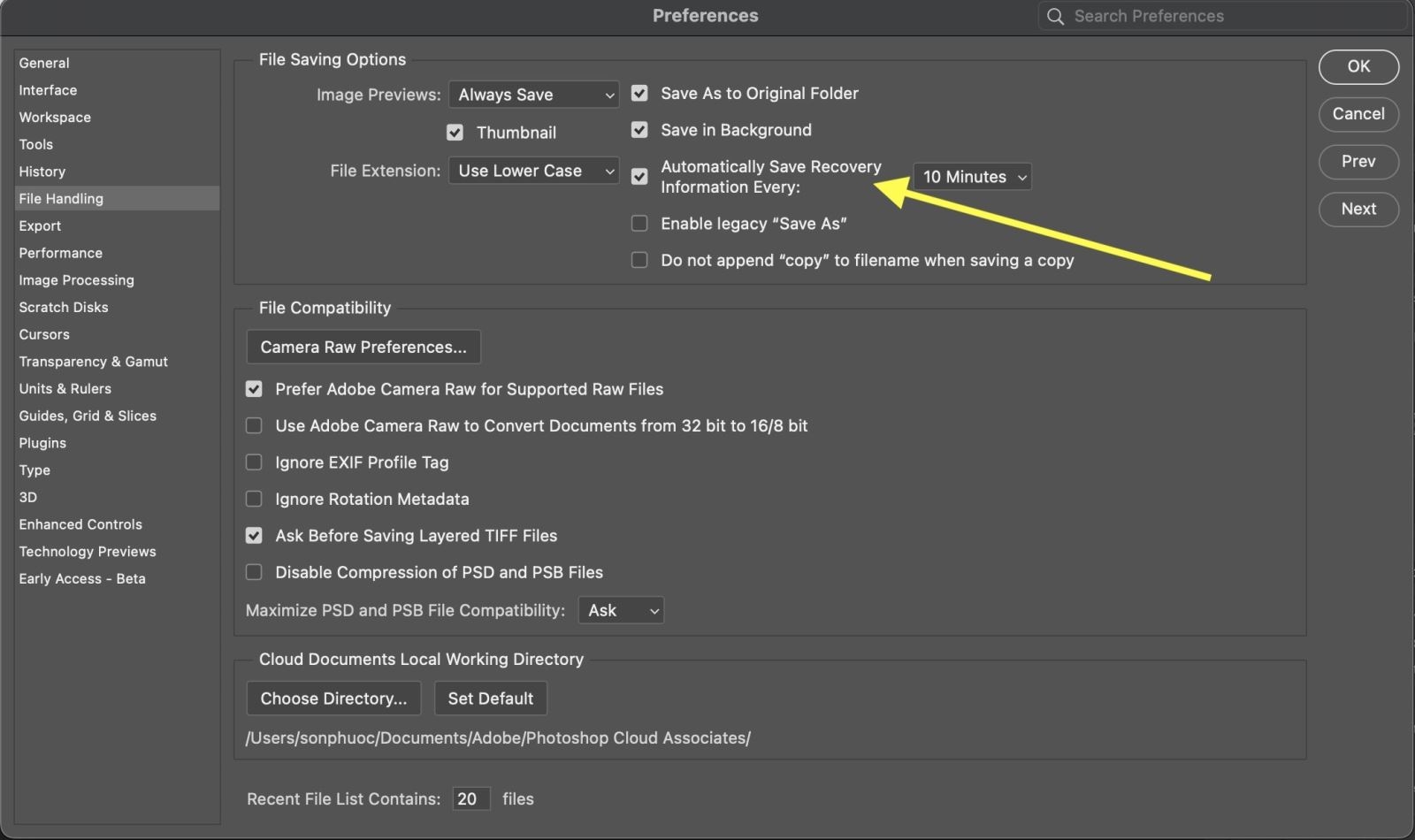 lấy lại file Photoshop khi mất điện - hình 5