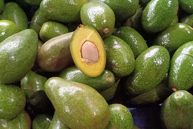 Cách làm kem bơ bằng máy xay sinh tố (Hình 2)