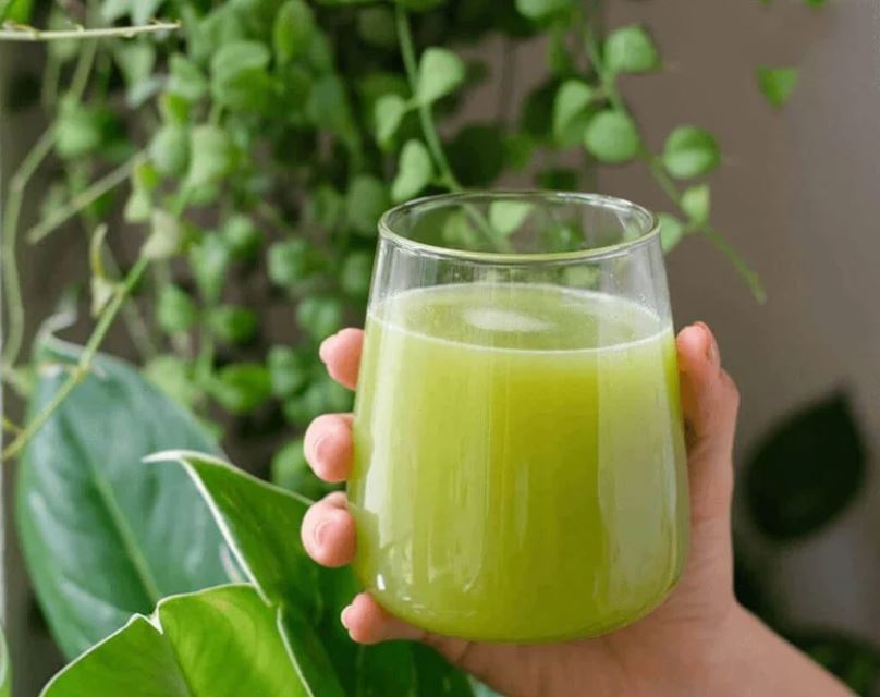 cách làm nước ép cóc bằng máy ép (ảnh 1)