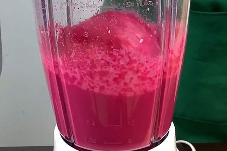 Cách làm nước ép củ dền bằng máy xay sinh tố (Hình 6)