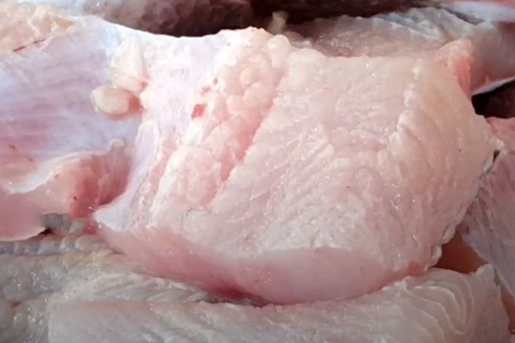 Cách làm chả cá bằng máy xay sinh tố (Hình 4)