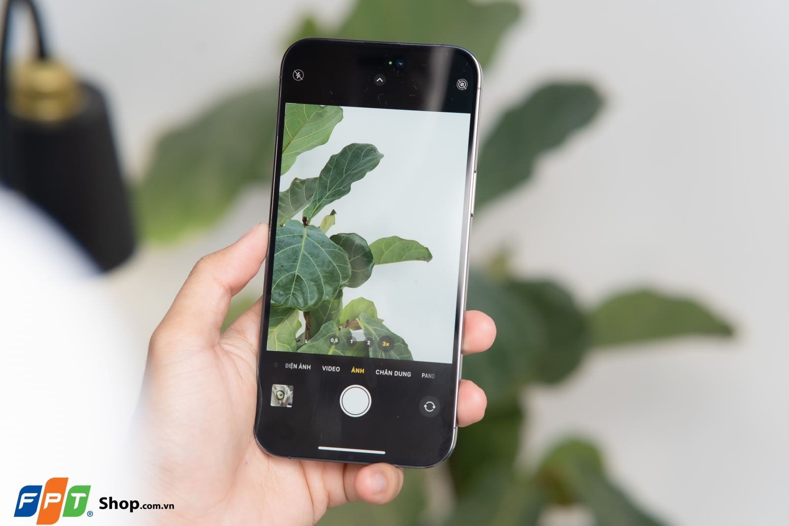 So sánh Xiaomi 13 Pro và iPhone 14 Pro Max