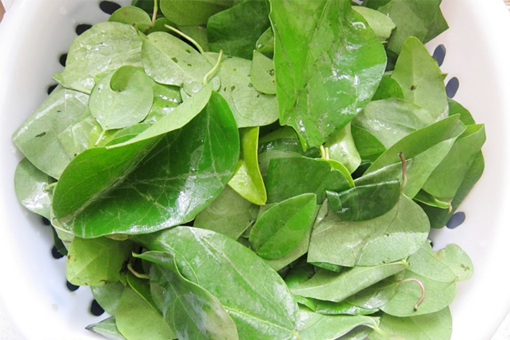 cách làm sương sâm bằng máy xay sinh tố - hình 1