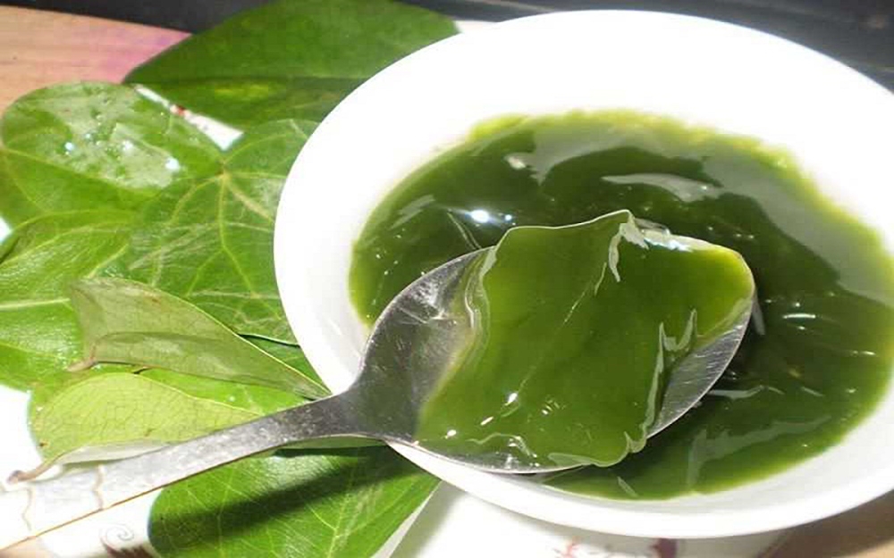 cách làm sương sâm bằng máy xay sinh tố - hình 3