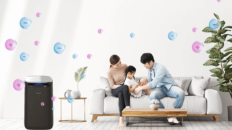 Nên sử dụng máy lọc không khí chủ động hay thụ động - hình 2