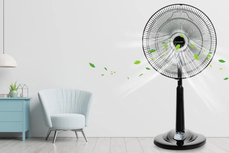 có nên mua quạt lửng - ảnh 5