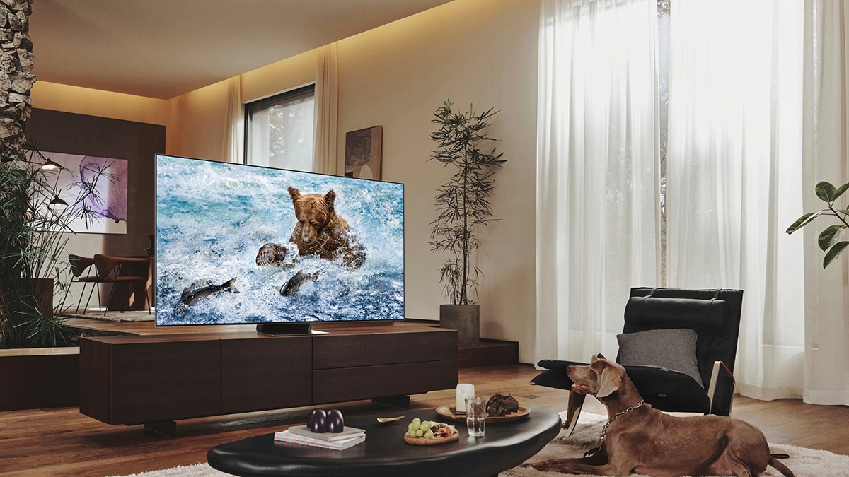 mua tivi samsung hay sony - hình 3