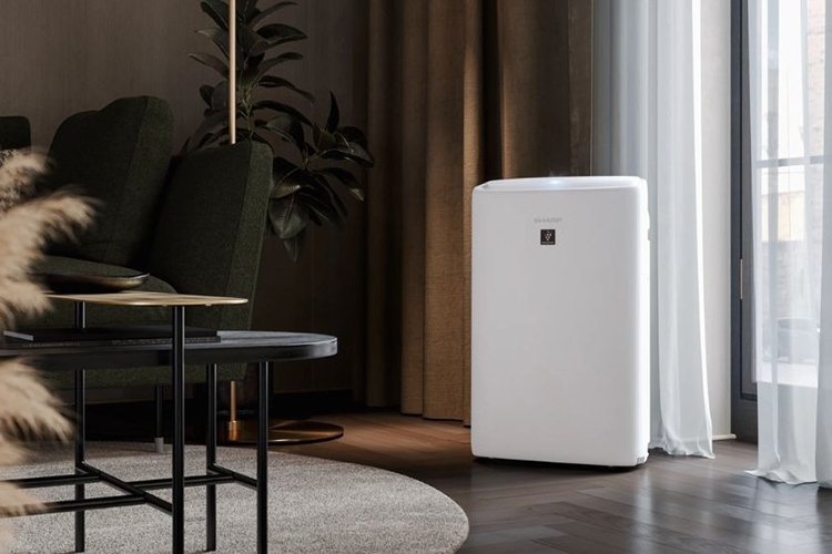 Nên mua máy lọc không khí tạo ẩm hay hút ẩm (Hình 1)