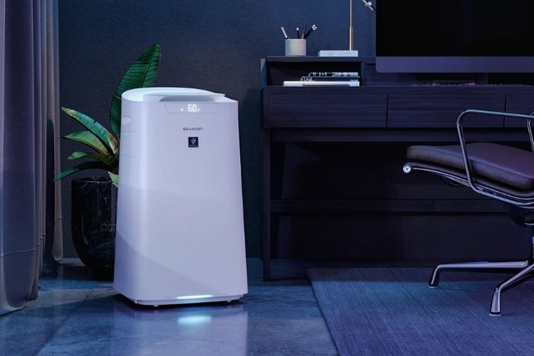 Nên mua máy lọc không khí tạo ẩm hay hút ẩm (Hình 4)