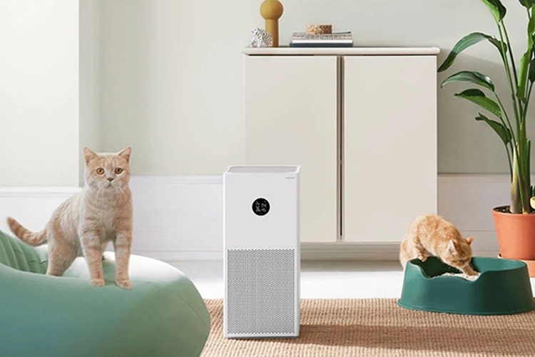 Phòng 30m2 nên dùng máy lọc không khí nào (Hình 2)