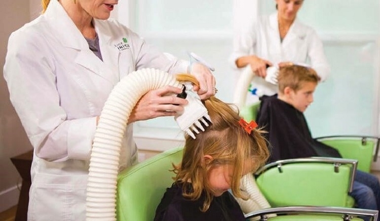 Cách diệt chấy bằng máy sấy tóc (Ảnh 3)