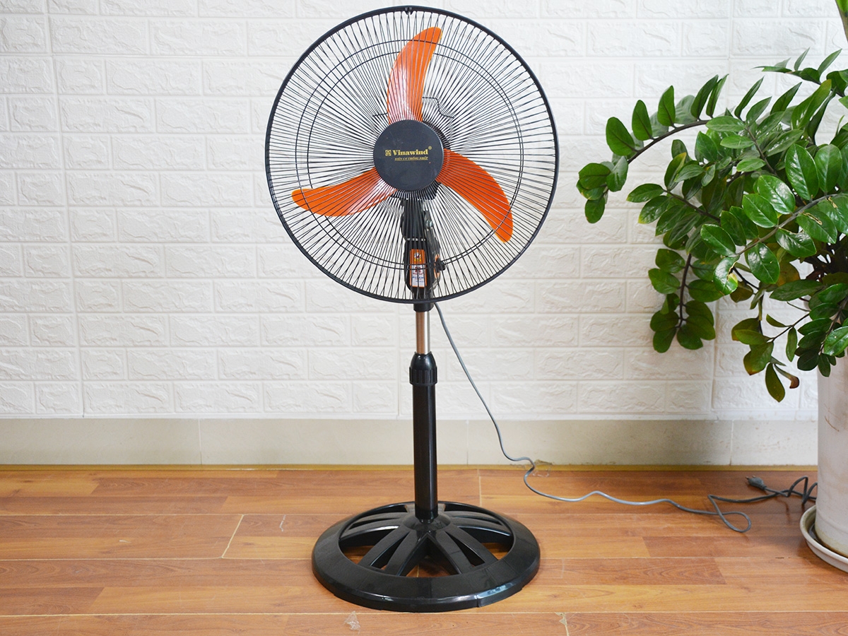 Quạt cây là gì?